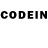 Псилоцибиновые грибы GOLDEN TEACHER Artem01102006
