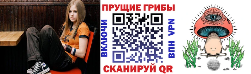купить наркотики цена  ОМГ ОМГ рабочий сайт  Псилоцибиновые грибы мицелий  Ивангород 